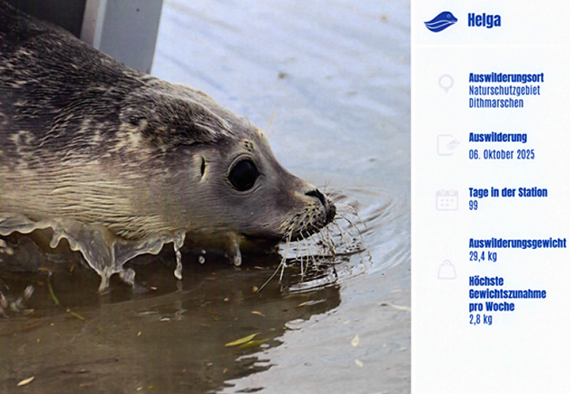 Andrea Weihe - 30 Jahre Physio-Weihe Am Schmäling in Fischbeck